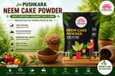 Neem Cake Powder: Natural Care for Healthier Soil & Happier Plants