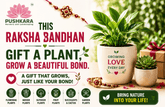 Raksha Bandhan Special: Celebrate Your Bond With Nature