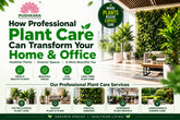 Professional Plant Care Services: Transform Your Home & Office with Healthy Greenery