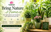 Transform Your Home with the Beauty of Nature