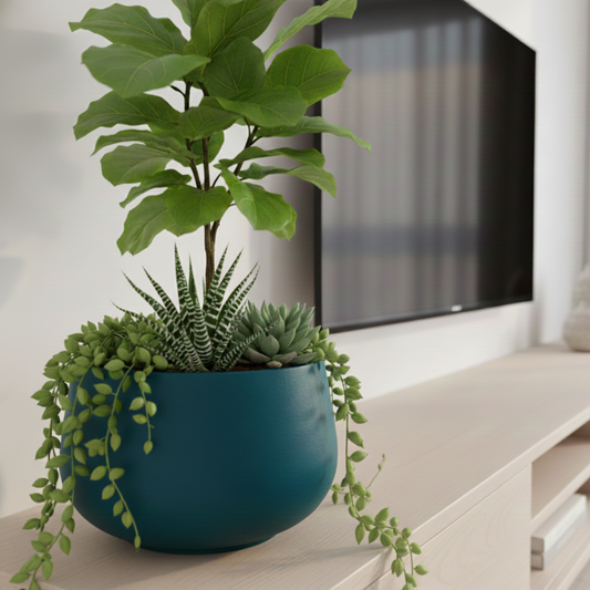 Aura Bowl Planter – Forest Teal