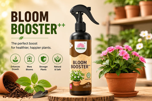 Bloom Booster: The Secret to Healthier Plants & More Beautiful Blooms