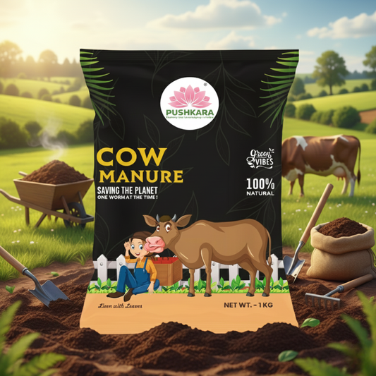 Cow Manure (Organic Fertilizer)