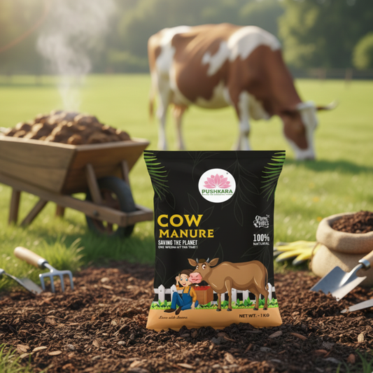Cow Manure (Organic Fertilizer)