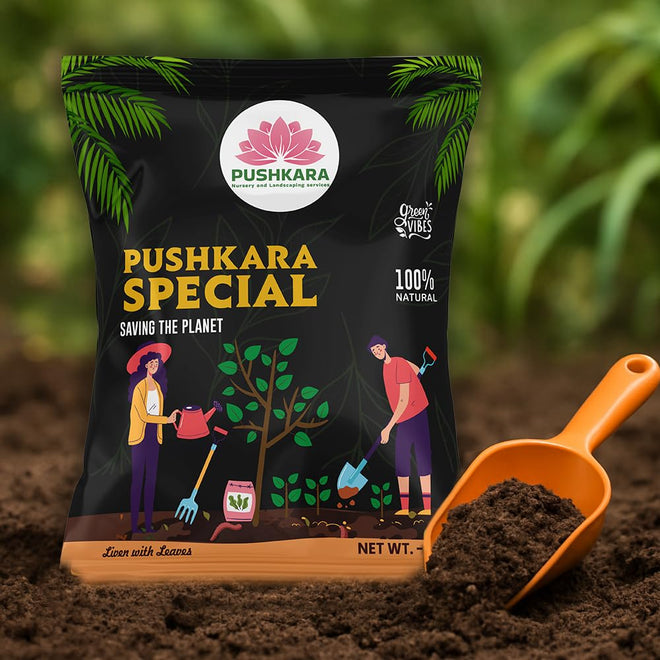 Pushkara Special