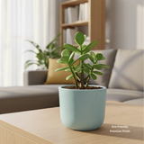 EarthTone Premium Handmade Terracotta Planter