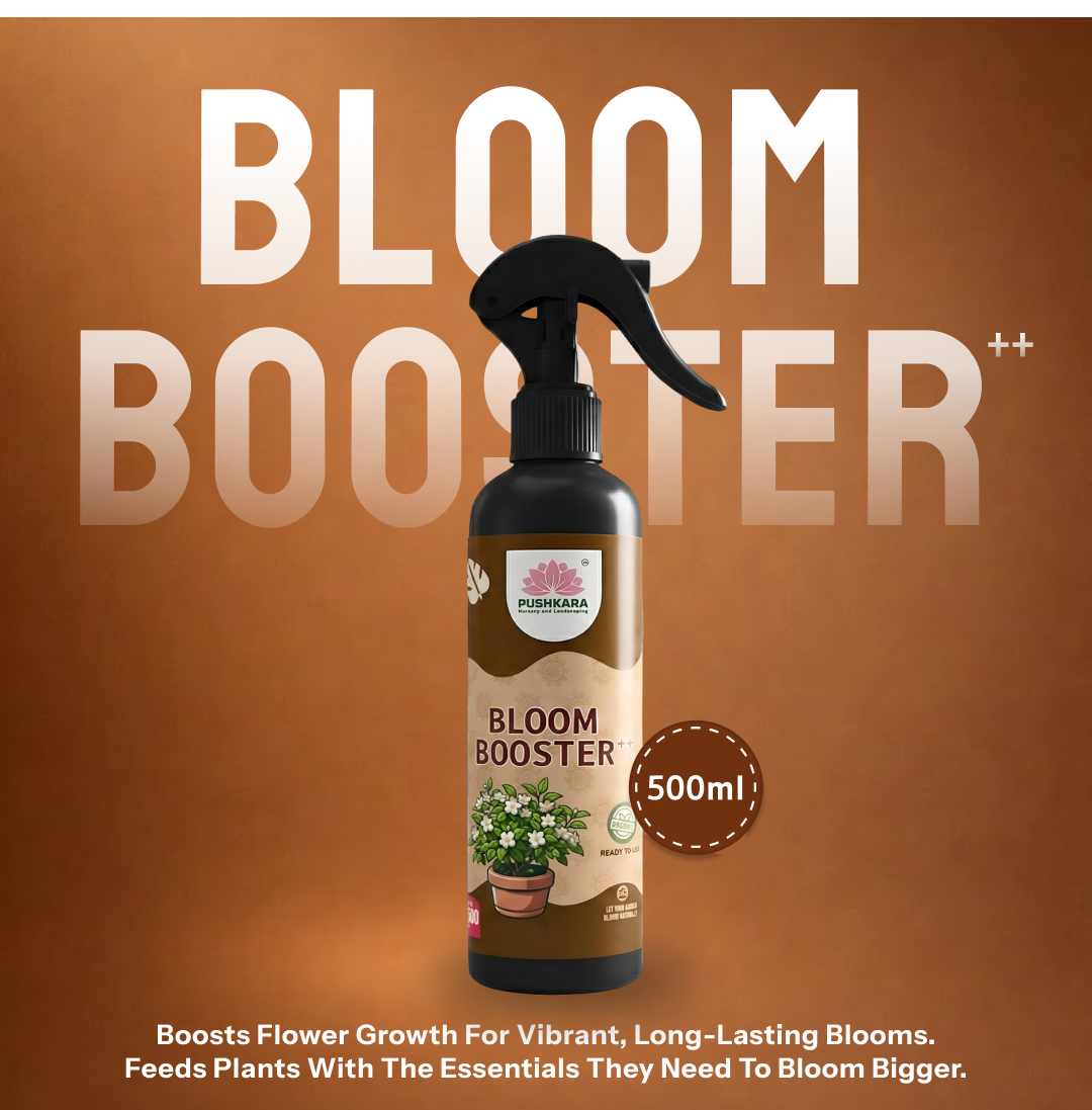 Bloom Boost Bloom Booster++ (Ready To Use) – Organic Flower Booster 500ML ...