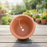 Handcrafted Terracotta Pot with Mandala Design