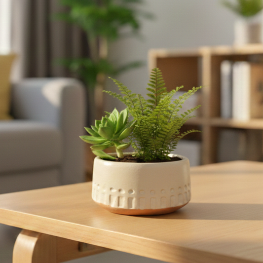 Handcrafted Terracotta Dual-Tone Cylinder Pot