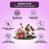 Aqua Bloom Pack Of 3- Aquatic Plant Growth Booster (60 ml X 3)