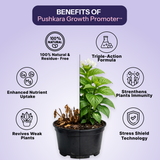 Growth Promoter++ (Concentrate) 200ML