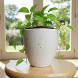Handmade Terracotta Stone Finish Indoor Planter
