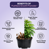All in one Grow & Guard Combo (Ready-to-Use) 500ml x 3 , 60ml