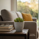 Handmade Terracotta Stone Finish Indoor Planter