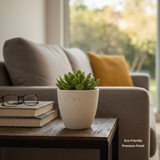 Handmade Terracotta Stone Finish Indoor Planter