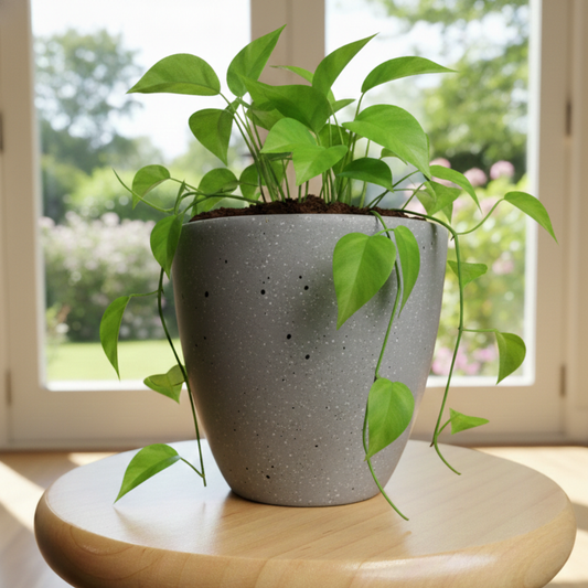 Handmade Terracotta Stone Finish Indoor Planter