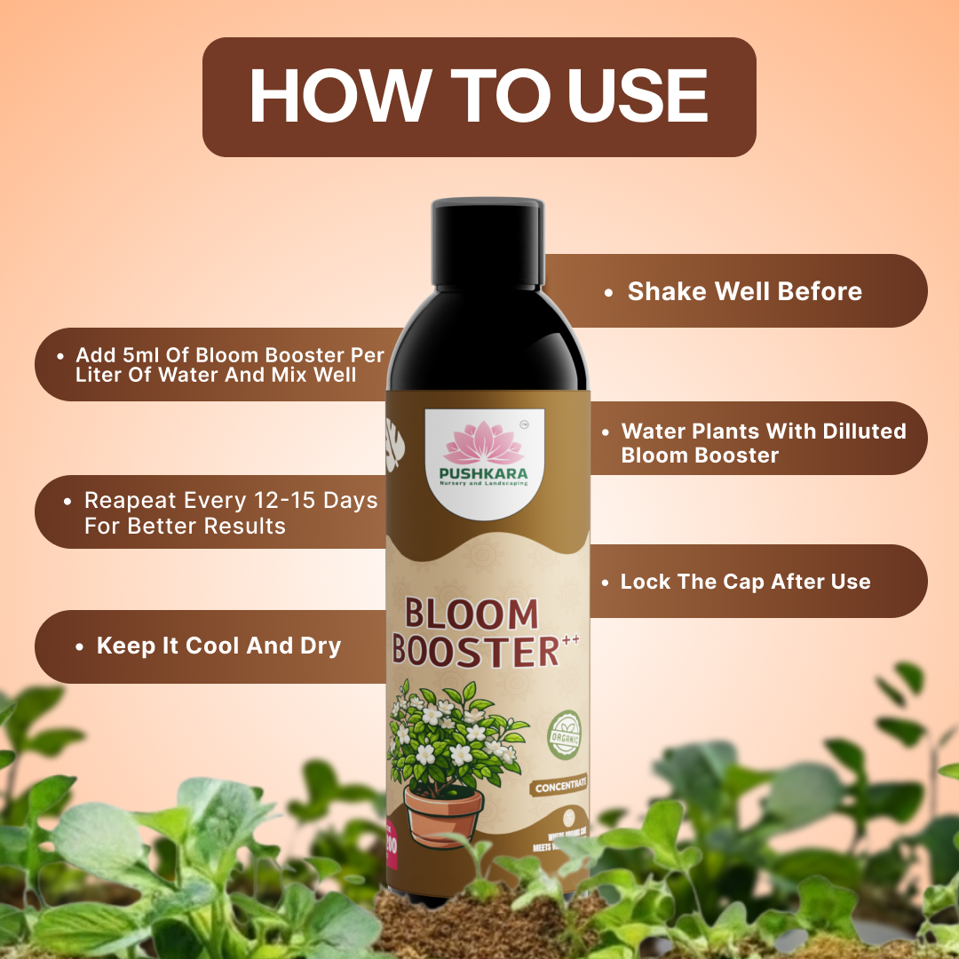 Bloom Boost Bloom Booster++ (Concentrate) 200ML – Pushkara Nursery And Landscaping ...