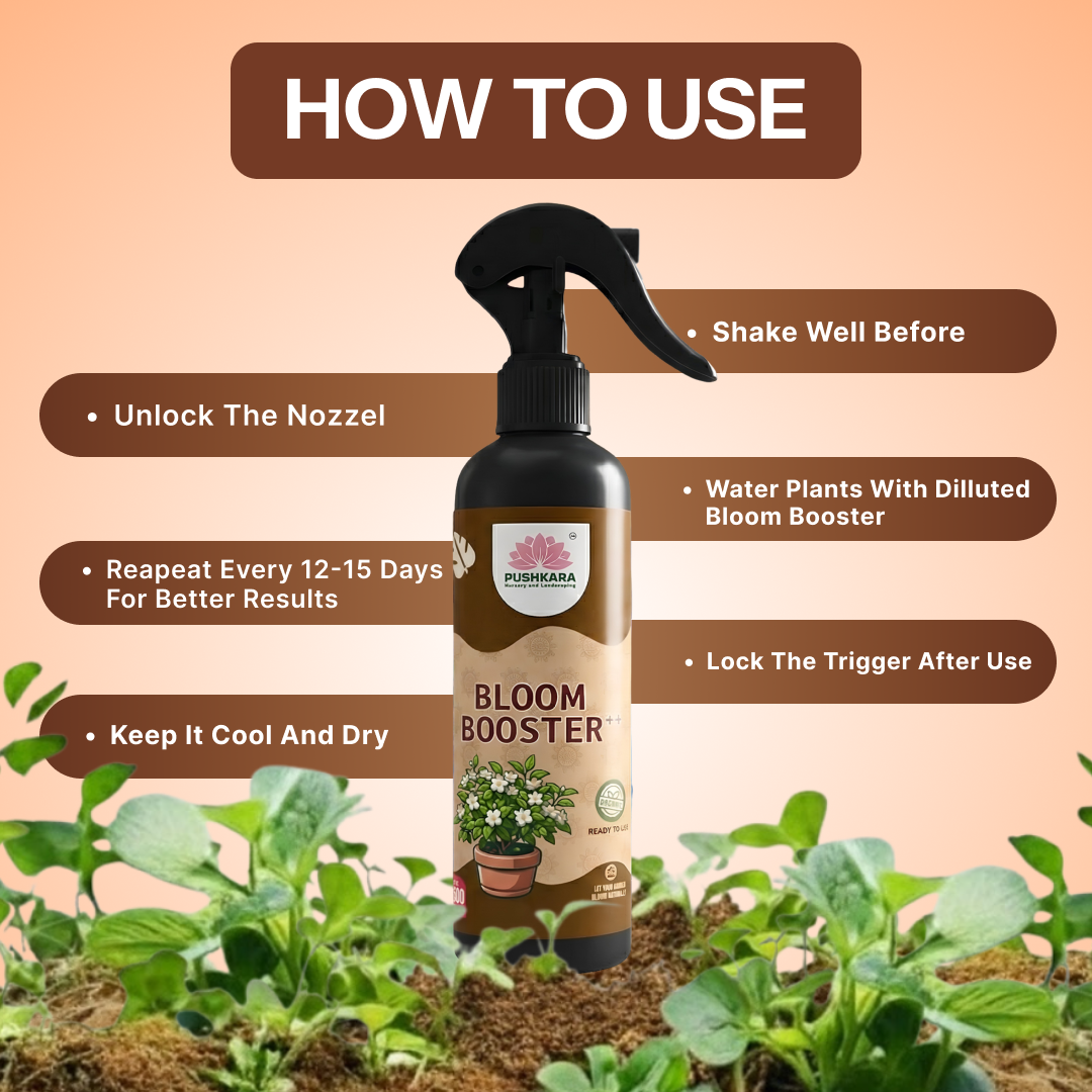 Bloom Boost Bloom Booster++ (Ready To Use) – Organic Flower Booster 500ML ...