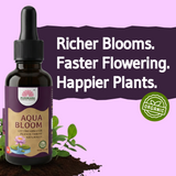 Aqua Bloom Pack Of 3- Aquatic Plant Growth Booster (60 ml X 3)