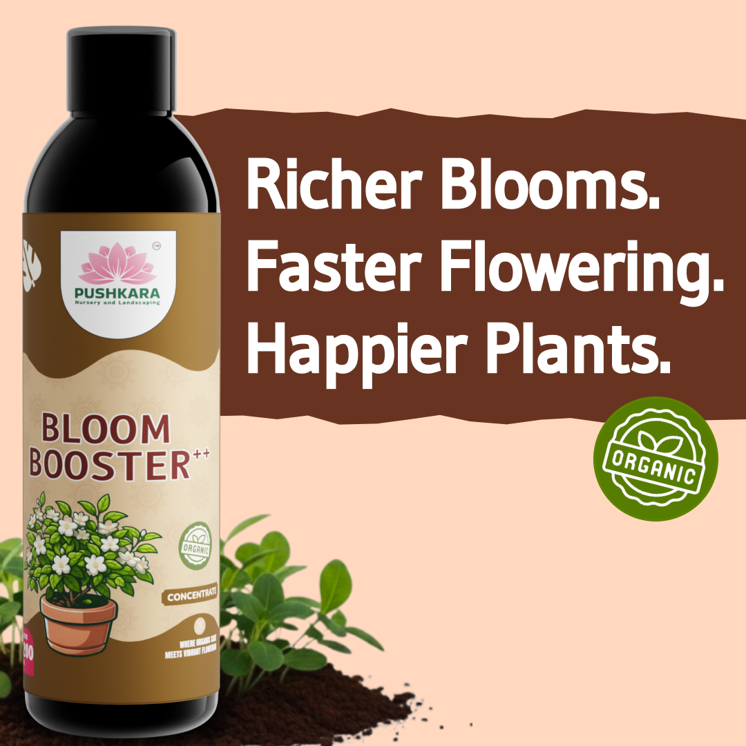 Bloom Boost Bloom Booster++ (Concentrate) 200ML – Pushkara Nursery And Landscaping ...