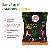 Pushkara Special