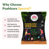 Pushkara Special
