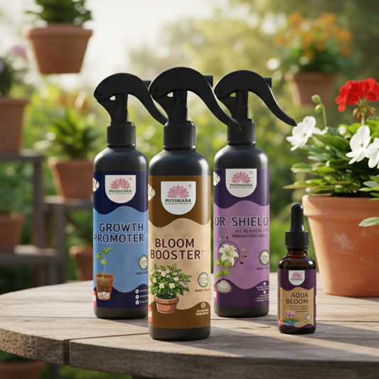 All in one Grow & Guard Combo (Ready-to-Use) 500ml x 3 , 60ml