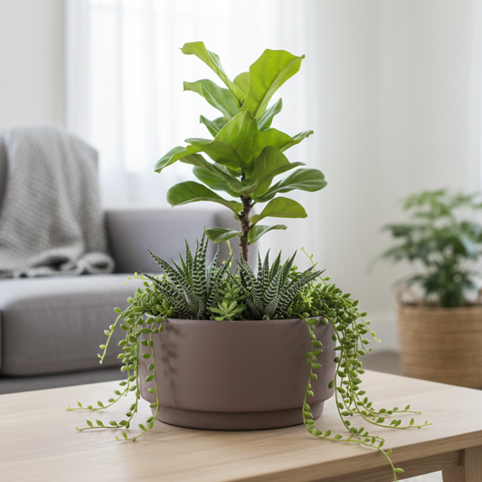 Pushkara Terra Eco Planter  - Warm Taupe