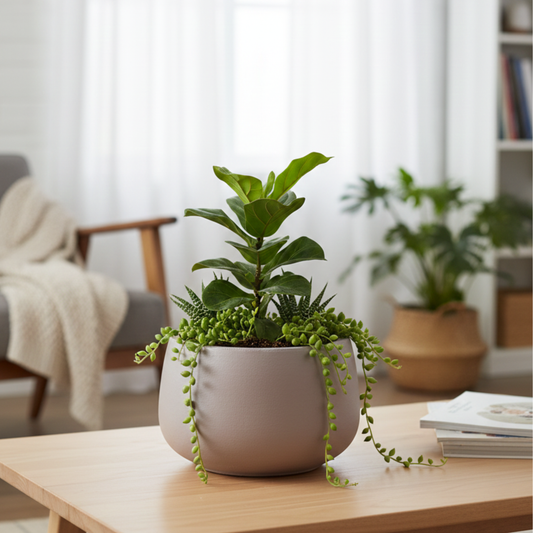 Aura Bowl Planter – Sand Taupe