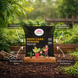 Neem Cake Powder (1 KG)